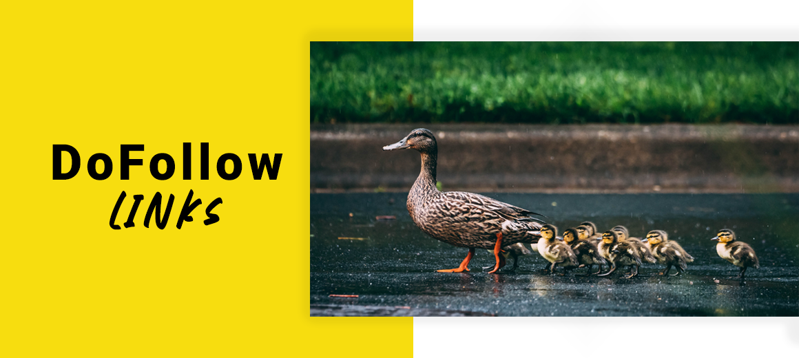 Exchange a backlink with what are backlinks | best tips & tricks in 2022 for beginners Do Follow Links