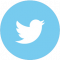 twitter-icon